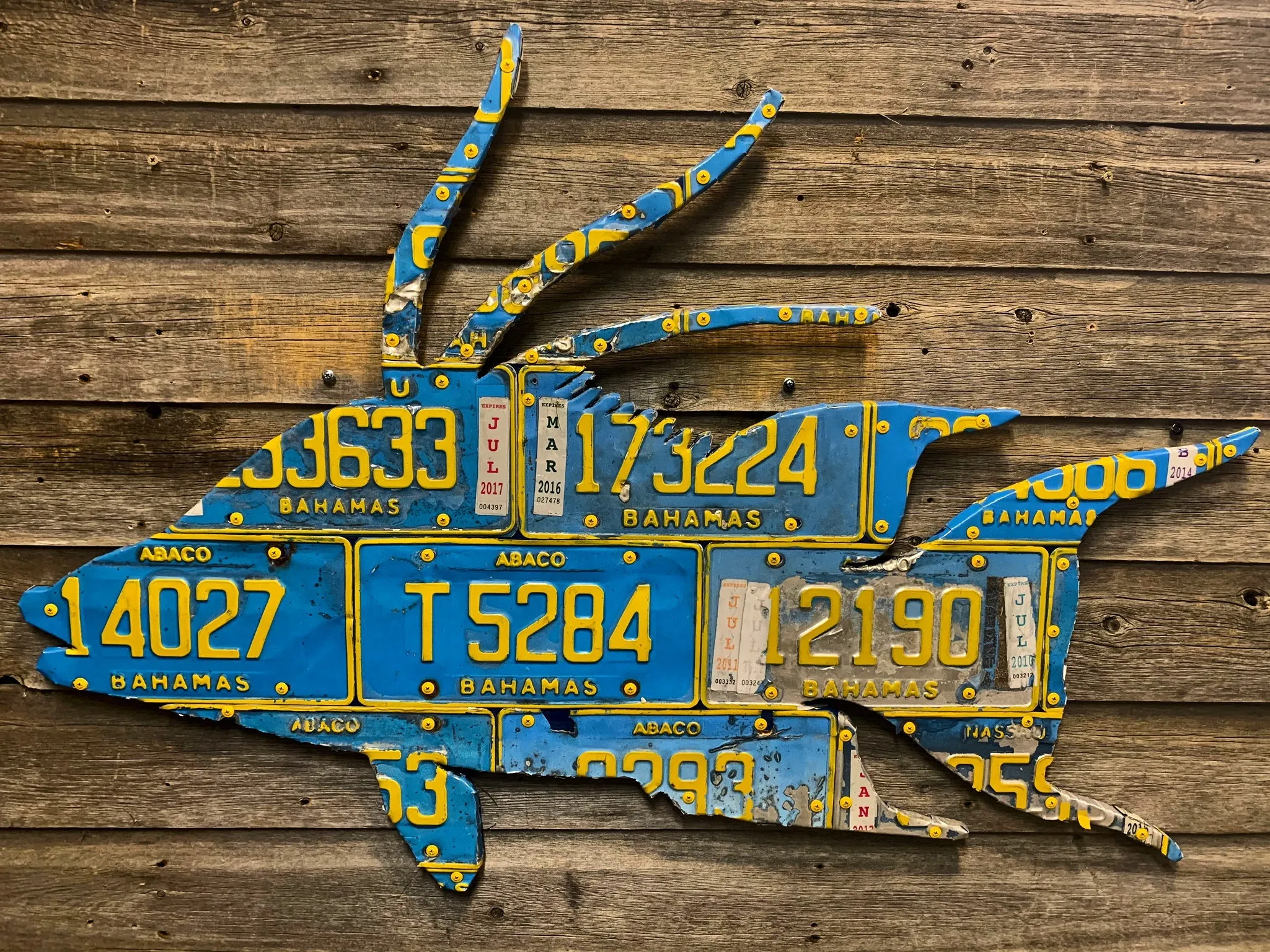 Bahamas Hogfish License Plate Art