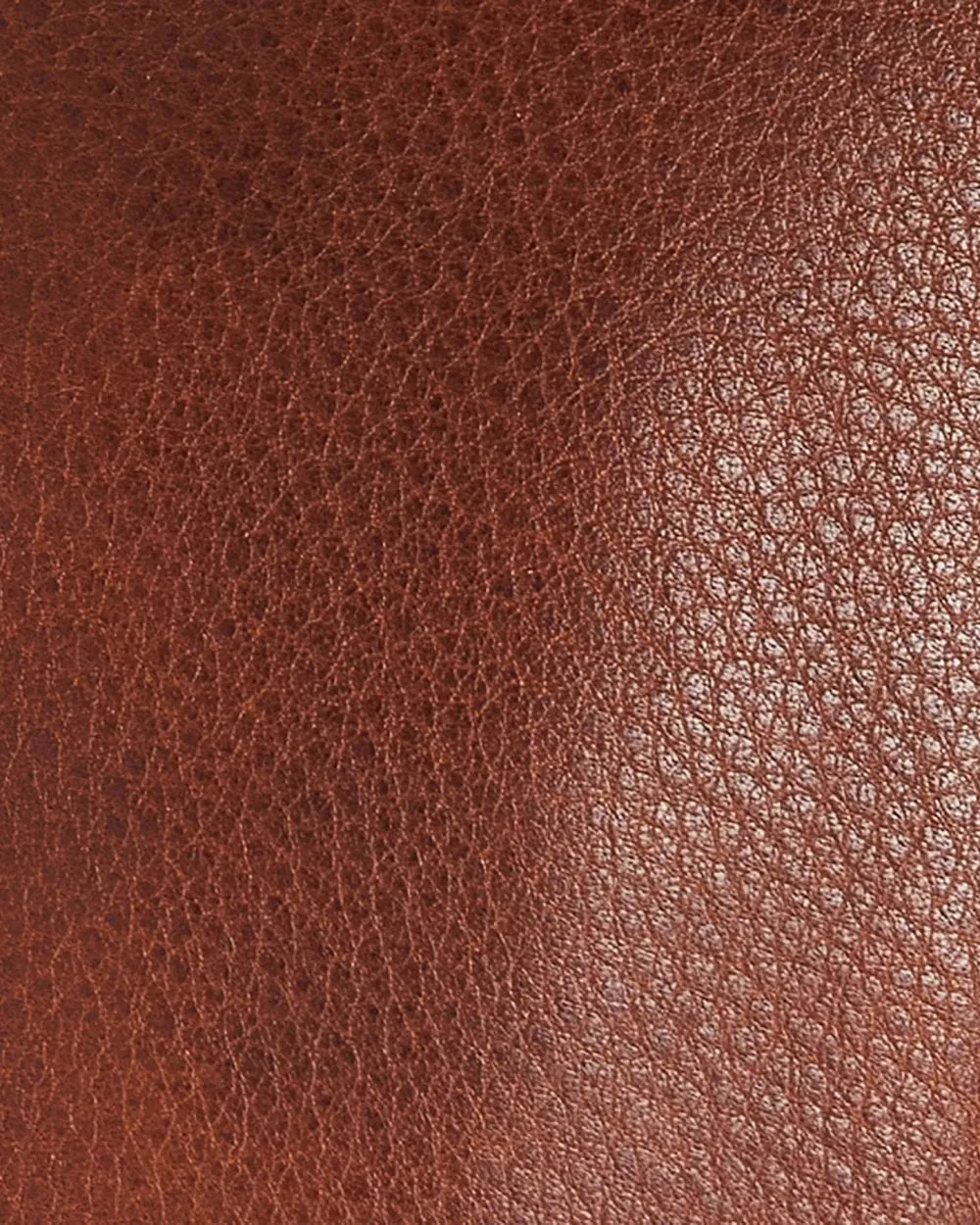 Laire Womens Leather Saddle Bag