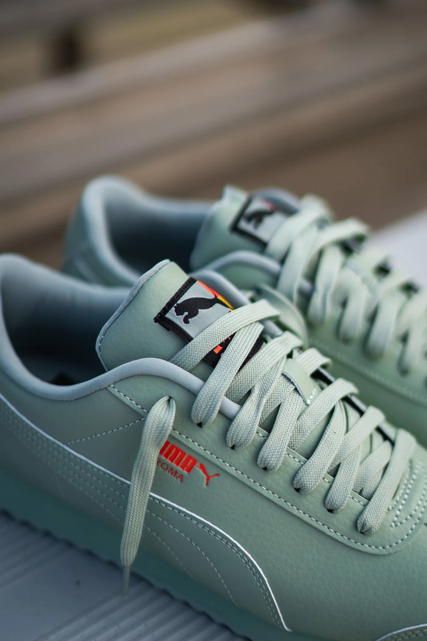 Mens Puma Roma Brand Love (Green Fog)