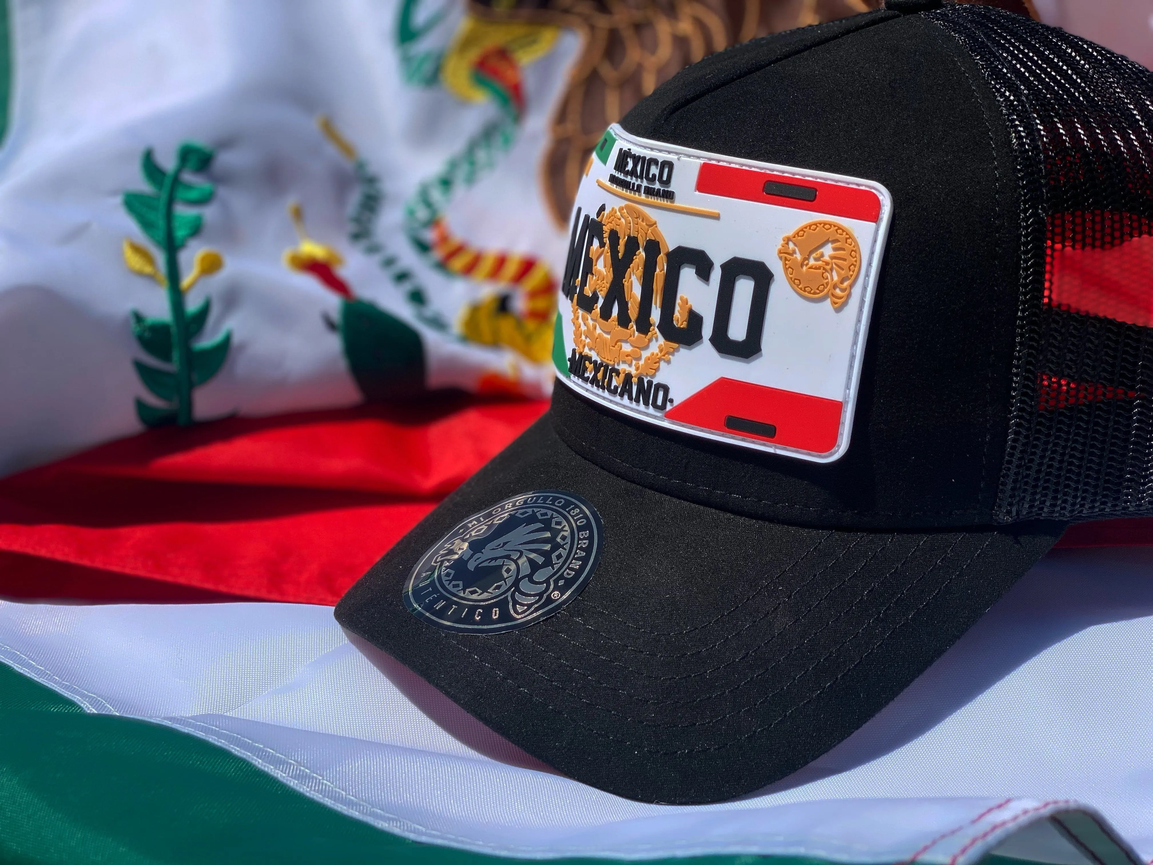 MXICO PLATE TRUCKER SNAPBACK