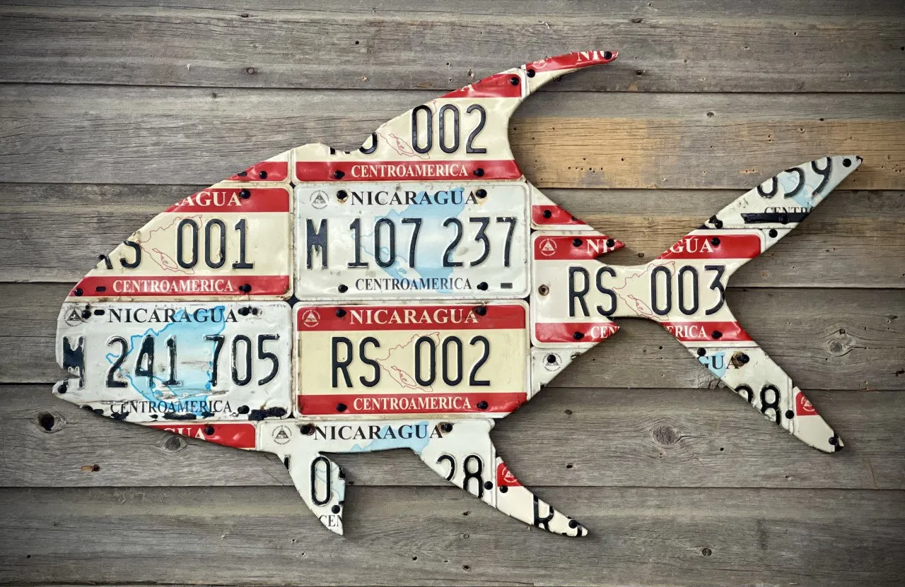 Nicaragua Permit License Plate Art