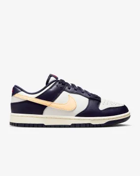 Nike Men's Dunk Low Retro FV8106-181