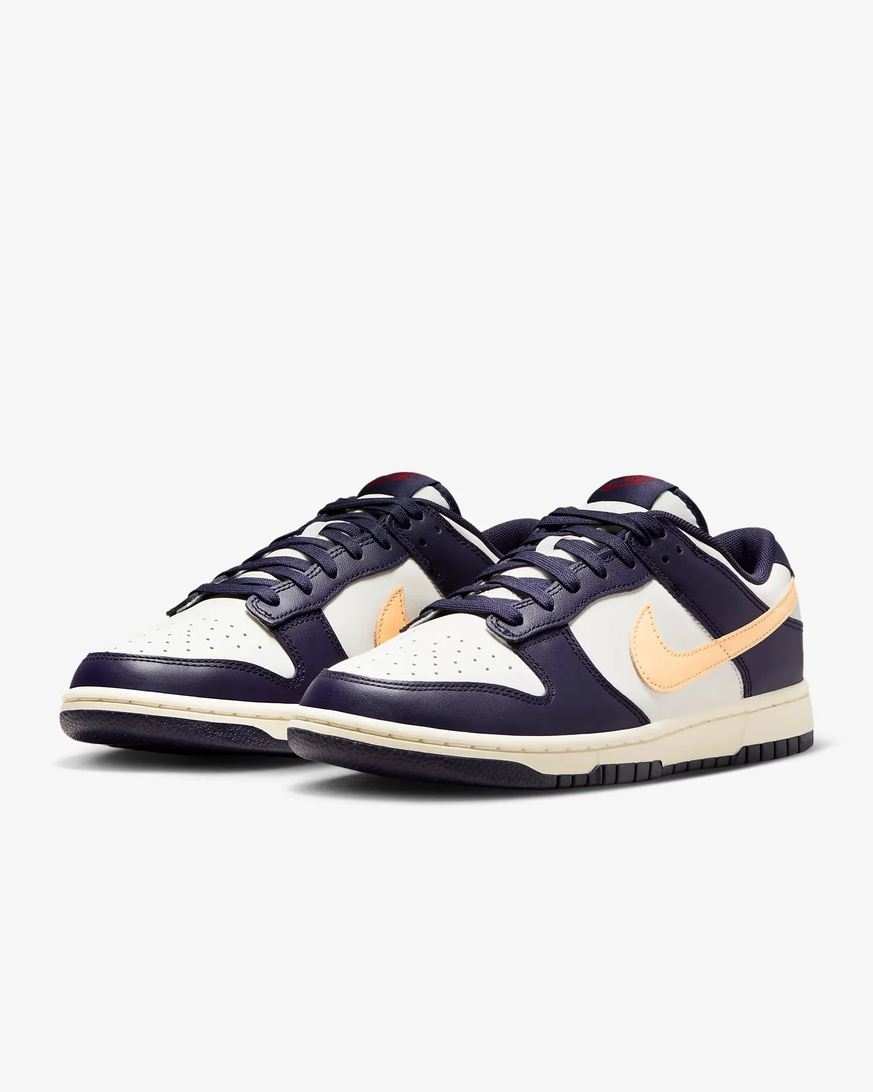 Nike Men's Dunk Low Retro FV8106-181