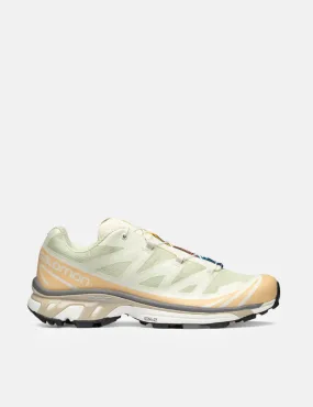 Salomon XT-6 Trainers - Aloe Wash/Hazelnut/Feather Gray